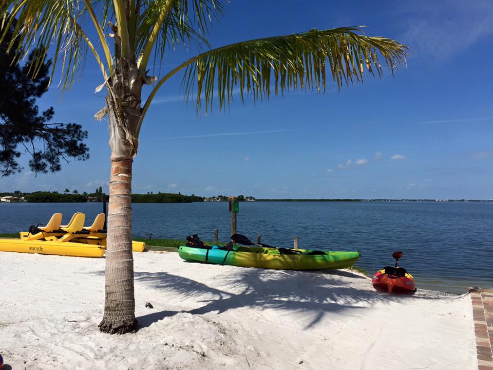 Wildlife Watersports Cocoa Beach - Save Up to $50 – Wildlife Watersports Cocoa Beach