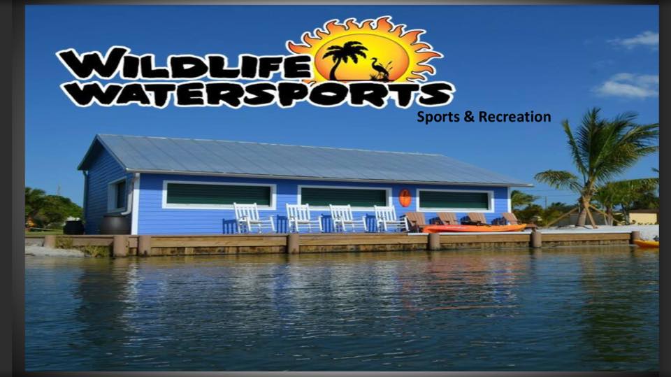 Wildlife Watersports Cocoa Beach - Save Up to $50 – Wildlife Watersports Cocoa Beach